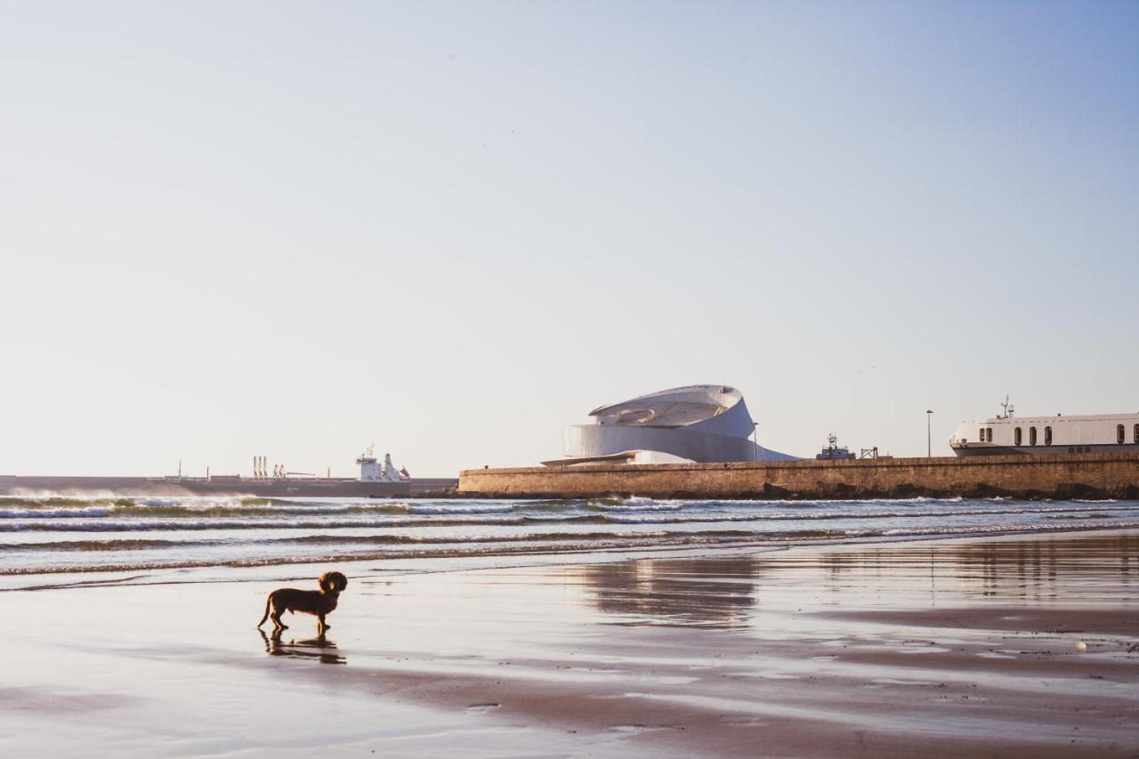 Oceanside Matosinhos - Ecohostアパートメント エクステリア 写真